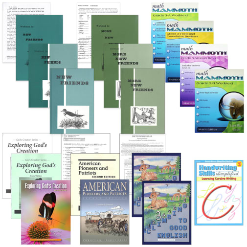 Rainbow Economy Starter Package Grade 3