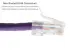 Cat6 Ethernet Patch Cable, Non-Booted, UTP, 5 ft, Purple