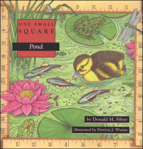 One Small Square: Pond