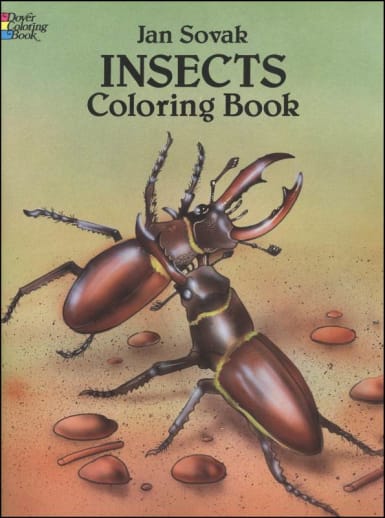 Insects Coloring Book