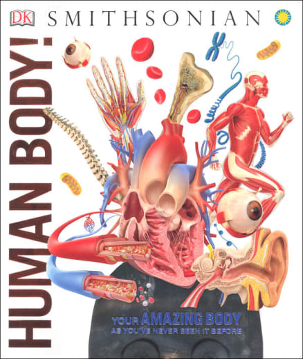 Human Body! (Smithsonian)
