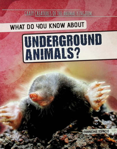 What Do You Know About Underground Animals? (Crazy Creatures of the Animal Kingdom)