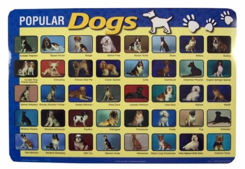Popular Dogs Placemat