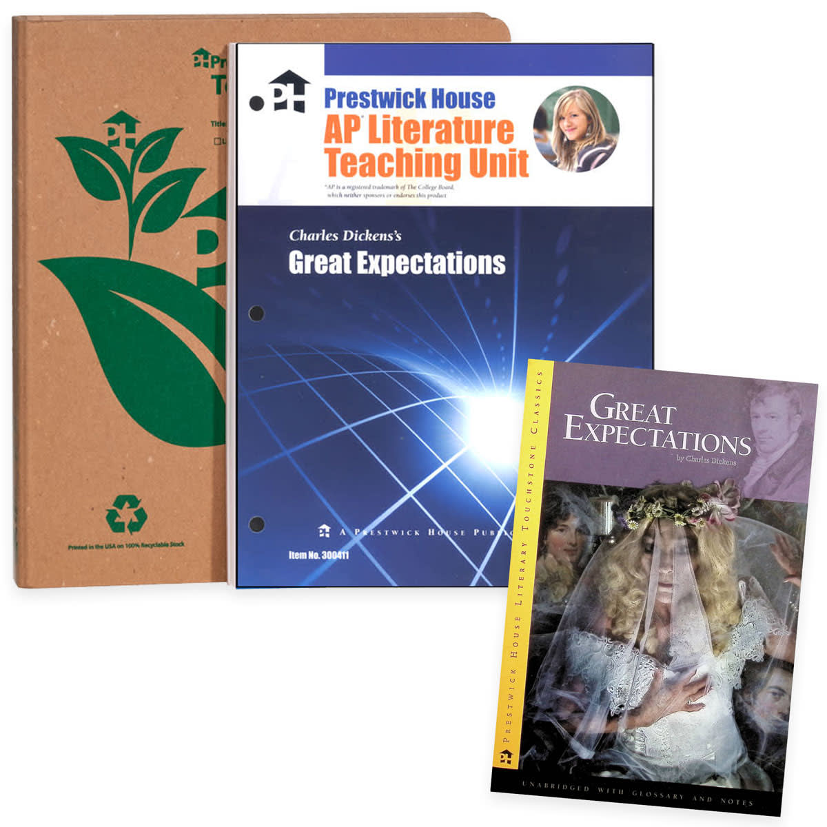 AP Literature Teaching Unit Great Expectations Package