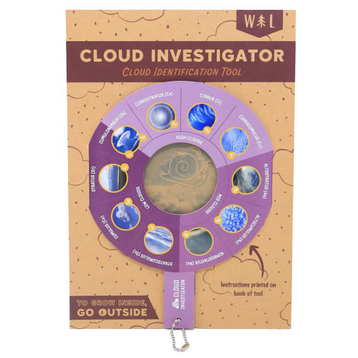 Cloud Investigator