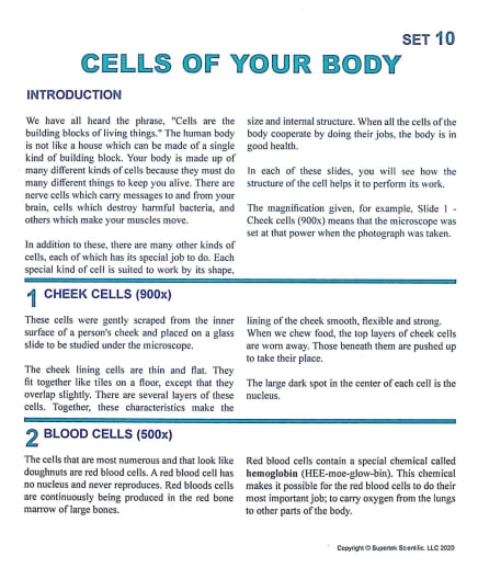 Cells of Your Body Microslide Lesson Set
