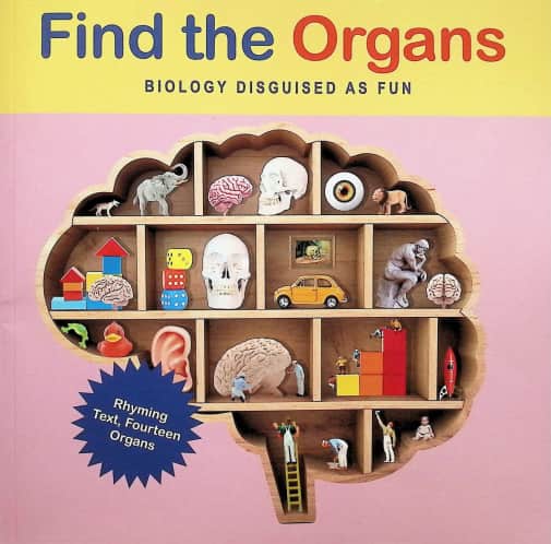 ArtK12 Find the Organs