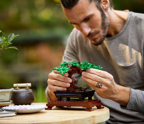 LEGO Botanicals Bonsai Tree (10281)