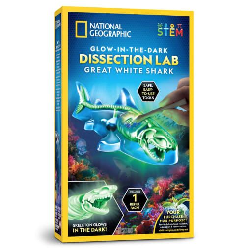Glow-in-the-Dark Dissection Lab - Great White Shark (National Geographic)