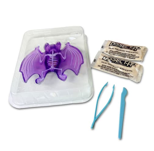 Dissect-It Bat Lab