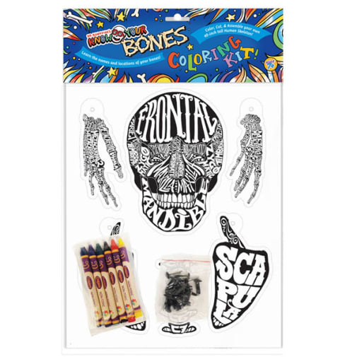 Dr. Bonyfide Know Your Bones: Coloring Kit