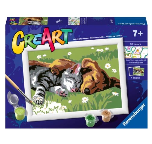 Ravensburger Creart Paint by Number - Sleeping Cat and Dog (5x7)