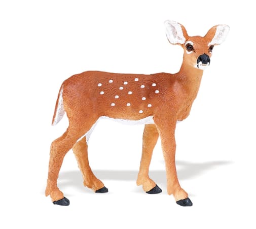 Whitetail Fawn (Wild Safari North American Wildlife)