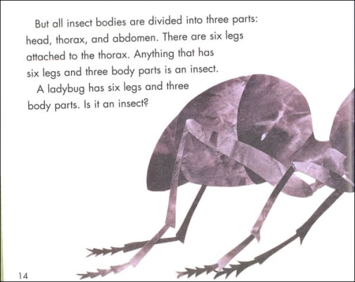 Bugs Are Insects (LRAFOS Level 1)
