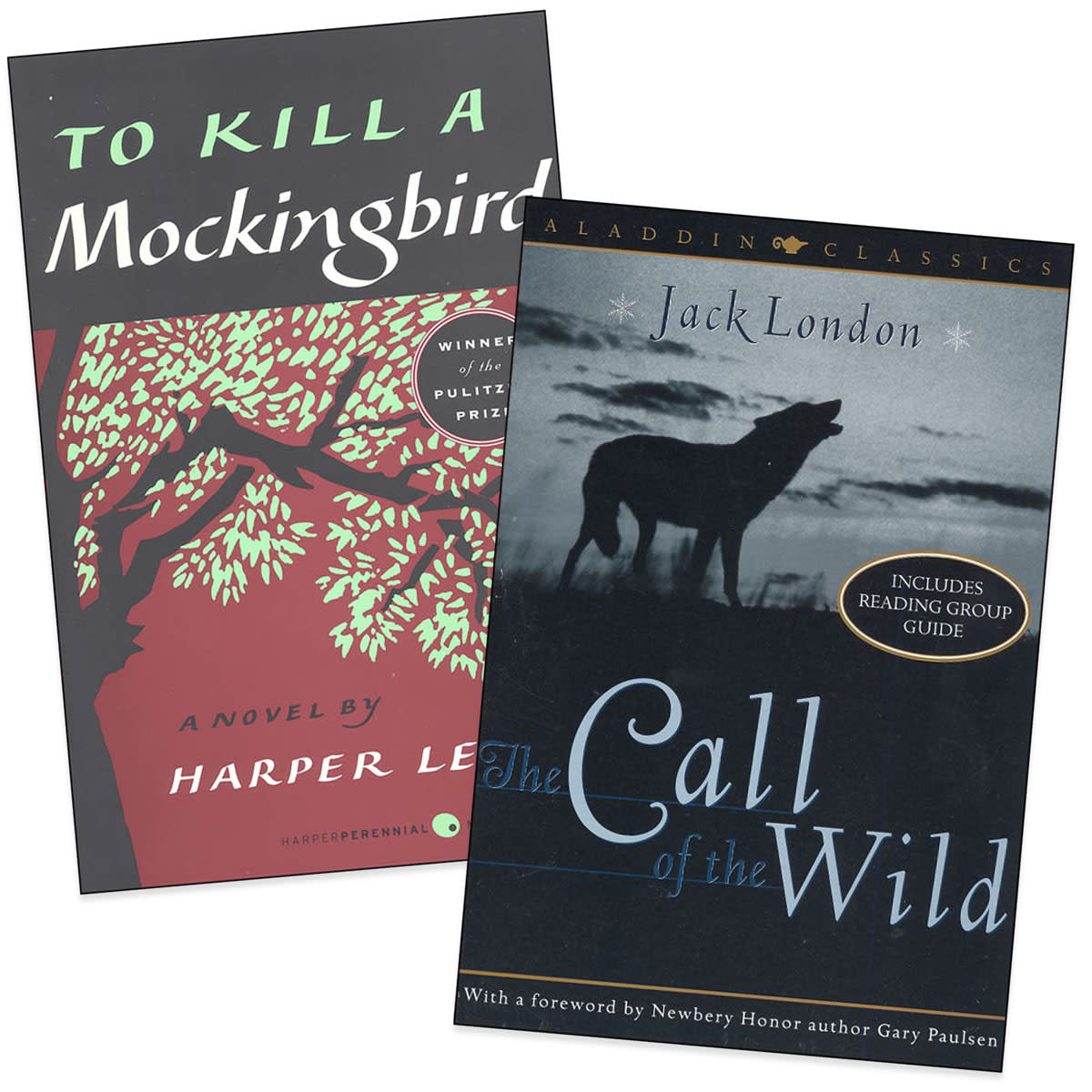 Horizon Charter Schools ELA Novels 9th Grade