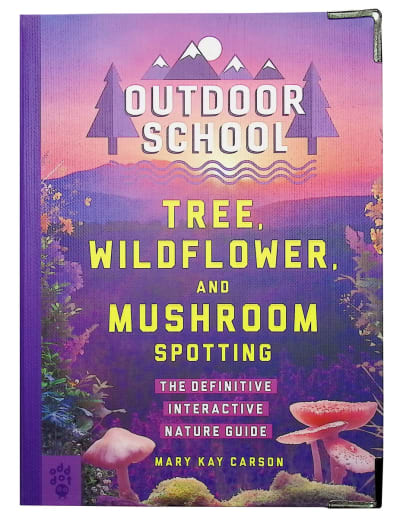 Outdoor School: Tree, Wildflower, and Mushroom Spotting