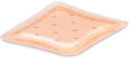 Allevyn Ag Adhesive Foam Dressing with Silver, 5 x 5 Inch MK 639313