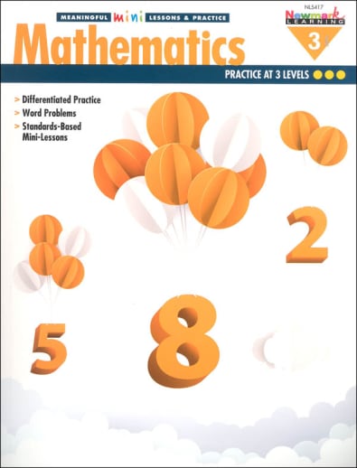 Meaningful Mini-Lessons & Practice: Mathematics Grade 3
