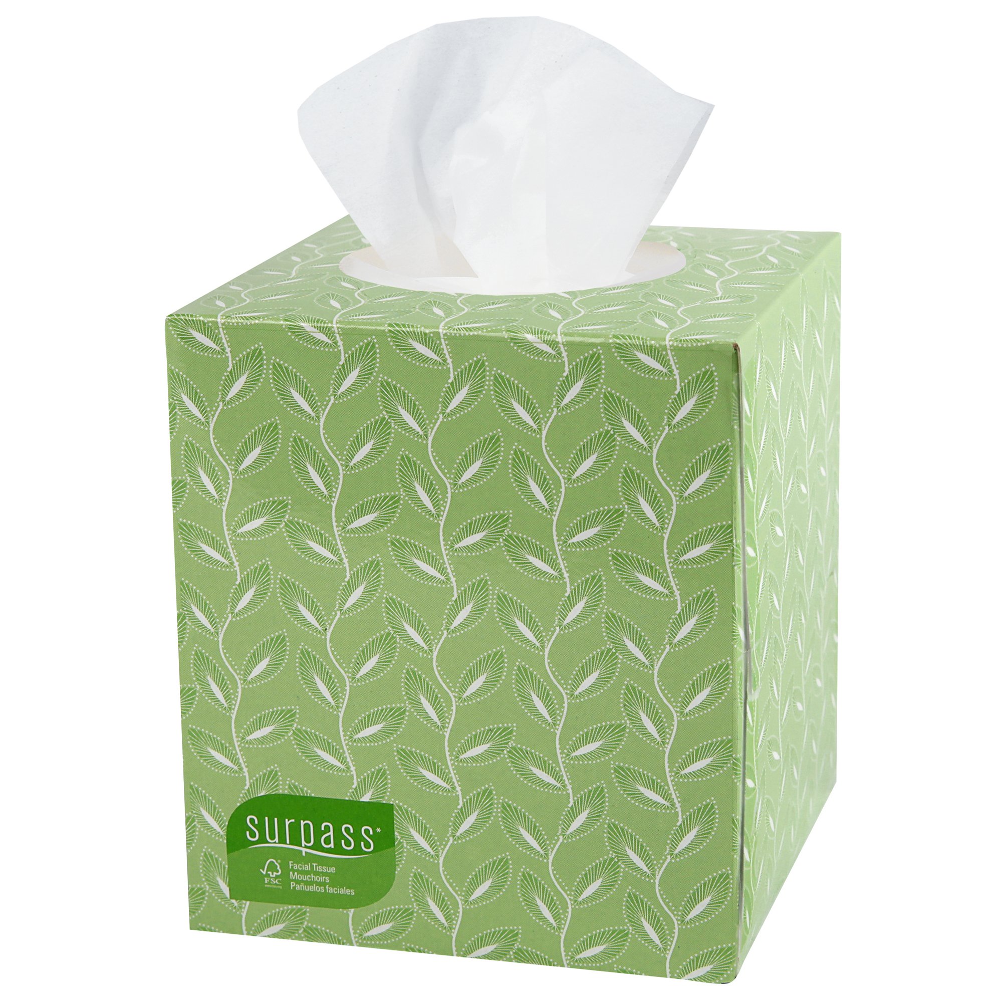 Surpass Facial Tissue, Boutique Box MK 554083