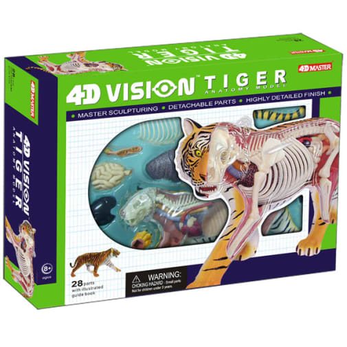 4D Vision Tiger Anatomy Model