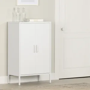 Metal 2-Door Storage Cabinet