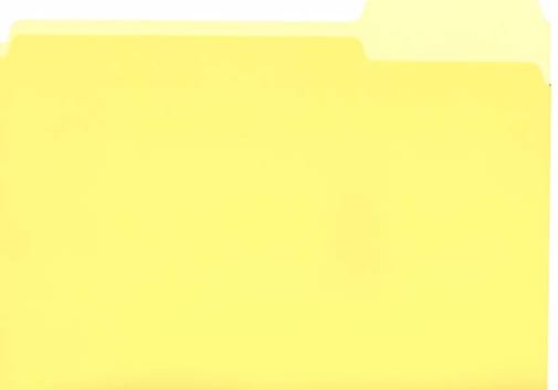 File Folder - Yellow