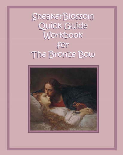SneakerBlossom Quick Guide Workbook for the Bronze Bow
