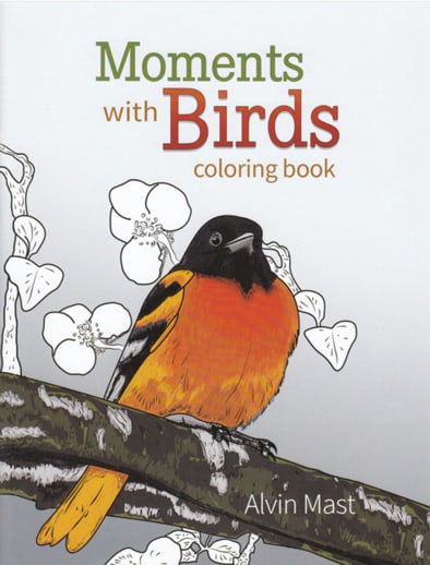 Moments with Birds Coloring Book