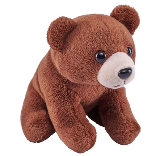 Pocketkins-Eco Brown Bear 5" Plush