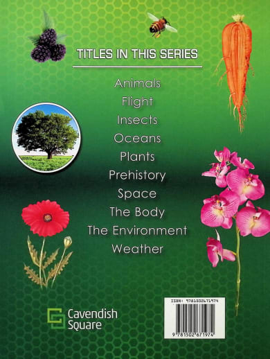 How it Works: Plants