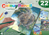 Color Pencil By Number Kit 8.75"X11.75" Sea Turtle