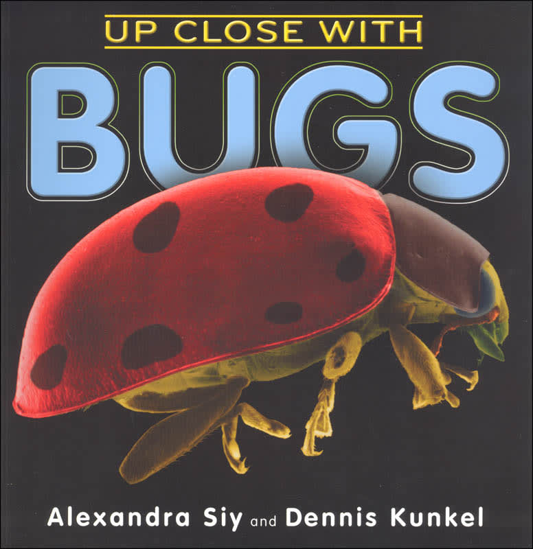 Up Close with Bugs