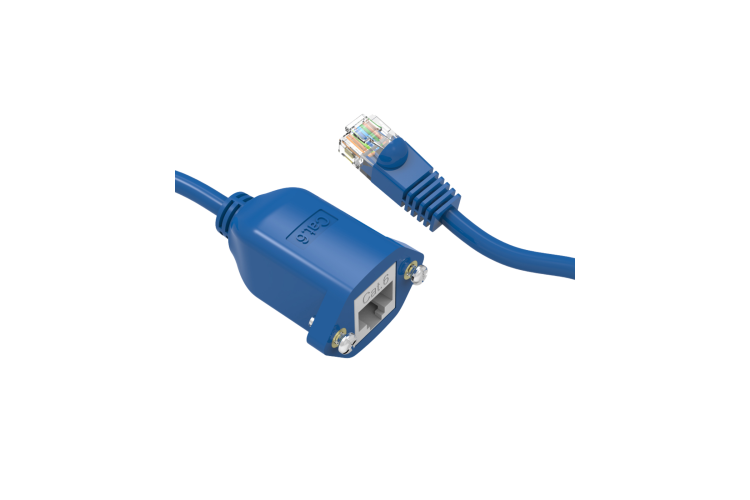 Cat6 Panel-Mount Ethernet Cable, Blue, 10ft