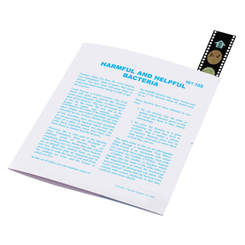 Microslide, Harmful & Helpful Bacteria