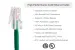 Cat6 Ethernet Patch Cable, Non-Booted, UTP, 2 ft, Green