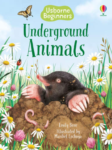 Underground Animals (Usborne Young Beginners)