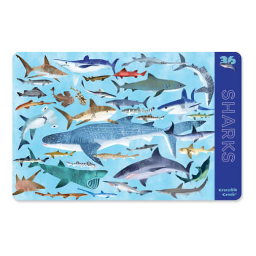 Sharks Two-Sided Placemat