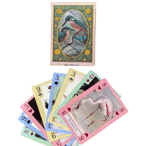 Fish, Birds, Herps, and Inverts - Beautiful Vintage Art Playing Cards