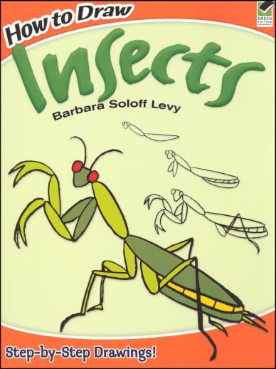 How to Draw Insects