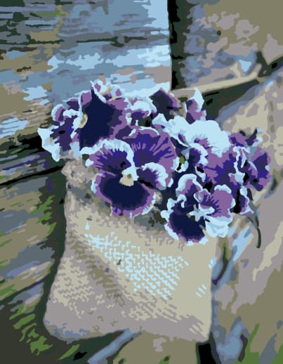 Artwille Paint by Number - Pansies