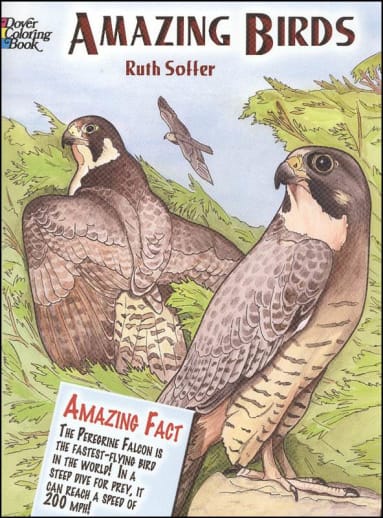 Amazing Birds Coloring Book