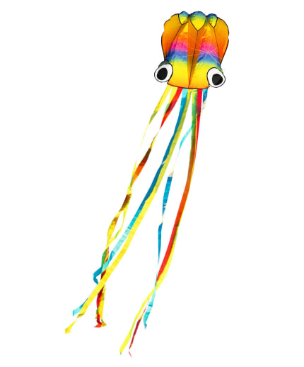 Rainbow Octopus Kite