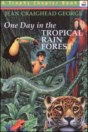 One Day in the Tropical Rain Forest