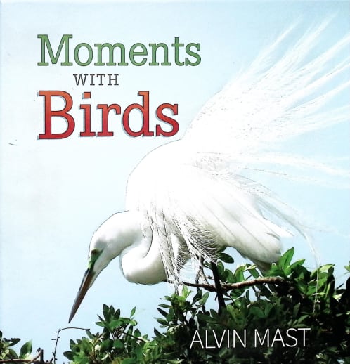Moments with Birds