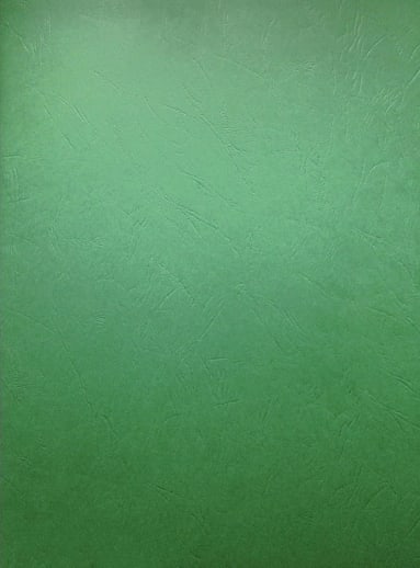 Geography Main Lesson Book