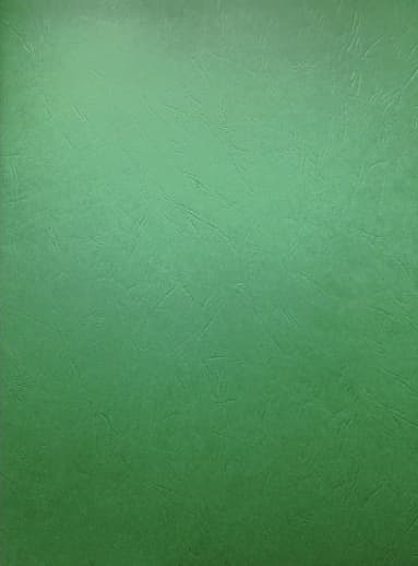 Geography Main Lesson Book