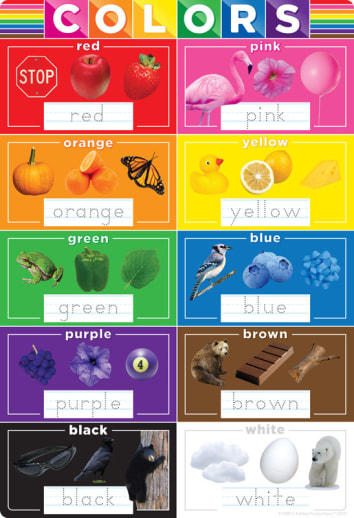 Colors Smart Poly Wipe-Off Chart