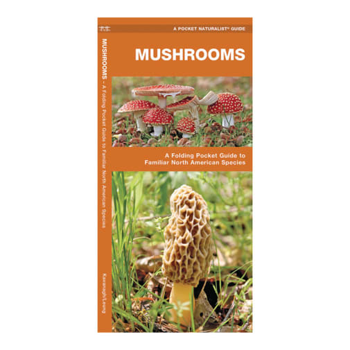 Mushrooms (Pocket Naturalist Guide)