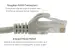 Cat6 Ethernet Patch Cable, Snagless, UTP, 7 ft, Gray