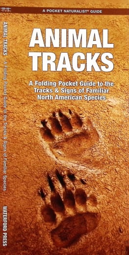 Animal Tracks (Pocket Naturalist Guide)